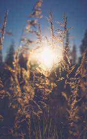 Photography Arte Nature Sunlight 38 Ideas Alaska Photography Nature Photography Landscape Photography Tips