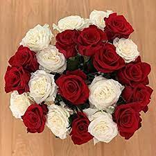 Blue iris with white roses and lilies make for simple and elegant blue and white flower arrangements; Amazon Com Red And White Roses Flower Bouquet 2 Dozen Beautiful Classic Roses Delivery Luxury Fresh Roses Birthday Anniversary Roses Any Occasion 24 Roses No Vase Grocery Gourmet Food