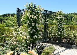 Pin Von C Auf Garden In 2020 Pergola Gartenstruktur Gartenprodukte