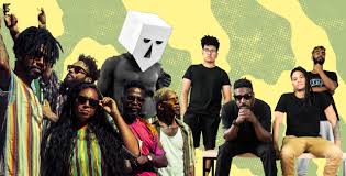 Image result for Afrobrunnichia