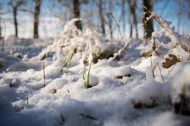 Carte des prévisions météo de pas de calais sur 15 jours ☀ météo détaillée de toutes les villes du département pas de calais : Neige Meteo Nord Pas De Calais