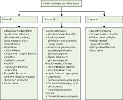 It often goes undetected and undiagnosed until. The Link Between Kidney Disease And Cancer Complications And Treatment The Lancet