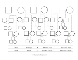 Remarriage Pedigree Chart Template