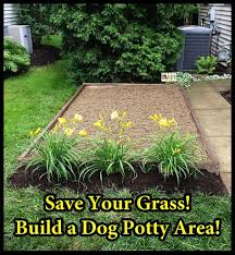 You can also ask your local garden center for the best if you have your lawn treated, ask your provider how long until it is safe to let your pet roam free. 62 Best Pet Friendly Backyard Ideas In 2021 Backyard Dog Yard Pet Friendly Backyard
