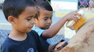 Keiki learn importance of animal care with miniature horses