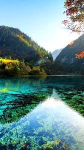 Nature wallpapers, background,photos and images of nature for desktop windows 10 macos, apple iphone and android mobile. Forest 30 Nature Photography Wallpaper 4k Phone Png