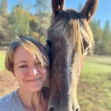 Where to find off track arabian mares?