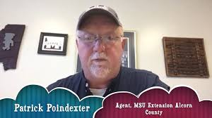 Agriculture, Food & Natural Resources Pathway