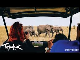 The top 10 destinations to travel in may 2020. Topdeck 4 510 Reviews Tourradar