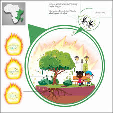 Image result for Schizozygia coffaeoides