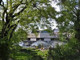 Botanischer Garten Der Universitat Basel Basel Com