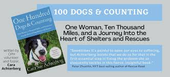 Healthy paws pet insurance & foundation covers your pet from head to paw. Operation Paws For Homes All Breed Dog And Cat Rescue In Virgina Maryland Washington Dc And South Central Pa