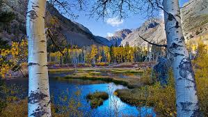 Maybe you would like to learn more about one of these? 8k Nature Mountain Wide Hd Wallpaper Wallpaperbetter
