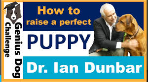 Learn how to cope with them and help your dog overcome them. Genius Dog Challenge How To Raise The Perfect Puppy With Dr Ian Dunbar Facebook