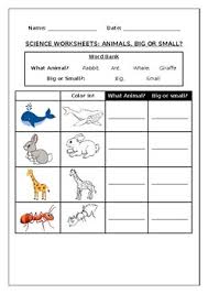 Science worksheets listed by specific topic area. Primary Science Worksheet Big Or Small Animals By Science Workshop