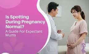 Image result for First Trimester Bleeding