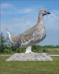 ashern manitoba sharptail grouse for 25 years ashern hosted the international one box sharptail hunt ashern i canada pictures pictures largest countries