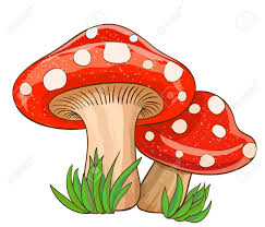 Dessin animé champignons rouges et de l'herbe sur blanc. illustration  vectorielle | Champignon dessin, Champignons farcis, Illustration  vectorielle