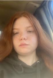 Hi, I'm looking for an old working bitch, who's not up to the long days  anymore, who just needs to slow down and have a wonderful retirement, i  have a small holding