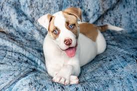 Dara N King Photography (@darankingphotography) • Instagram photos and  videos