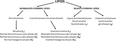 We did not find results for: Lipids Composition In Plant Membranes Springerlink