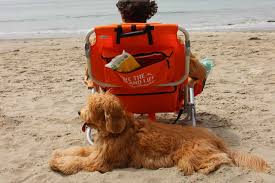 Tommy Bahama Deluxe Backpack Beach Chair Review Our Top Choice