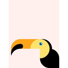 Dot Bo Furniture And Decor For The Modern Lifestyle Toucan Art Graphic Illustration Illustration