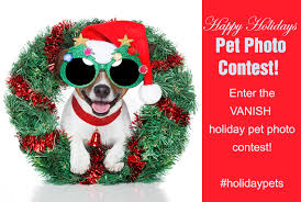 See more ideas about pet photo contest, photo contest, animal photo. Holiday Pet Photo Contest