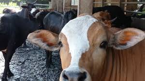 Maybe you would like to learn more about one of these? Bo4whjuq2njy2m