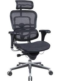 Ergohuman Executive Chair With Headrest Black By Eurotech Seating 587 41 Mesh Pneumatic Height Adjustment Back Angle Adjustment Synchro Tilt M Decoration