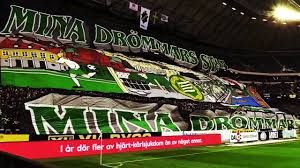 Salmonella türü bakterinin neden olduğu, sıklıkla kirli içme suları ve yiyeceklerle bulaşan yaygın ve mikrobik bir hastalıktır. Hammarby If Tifo 2017 Youtube