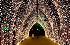 Lightscape At The Chicago Botanic Gardens My Petite Joys Chicago Botanic Garden Botanical Gardens Petite Joys