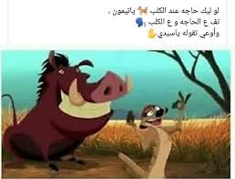 pin by اسماء on تيمون وبومبا cartoon quotes funny arabic quotes funny qoutes