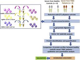 proteomic investigation on bio corona of au ag and fe