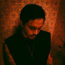 If i cancel my Distrokid subscription, do my self released tracks get  deleted from all platforms?