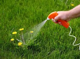 Es kann über das ziehen des unkrauts mit den fingern erfolgen oder mithilfe eines speziellen gartenwerkzeugs. Unkraut Bekampfen Und Verhindern Unkraut Garten