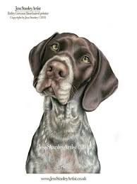 Sweet, loving, playful and happy puppies. German Shorthaired Pointer Portrait By Jess Stanley Artist In Coloured Pencils Germanshorthairedpointer Dog Portraits Painting Dog Paintings Watercolor Dog
