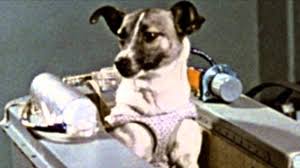 Following the excitement over the first artificial earth satellite, premier khrushchev urged korolev to launch a second satellite in time to celebrate the 40th anniversary of the soviet revolution. Sputnik 2 The First Animal In Orbit Drew Ex Machina