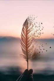 Pin Di ľubka Chovanova Su De Cumpărat Fotografia Natura Sfondo Di Iphone Arte Fotografica