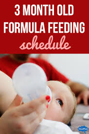 3 Month Old Formula Feeding Schedule Cloudmom