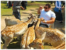 رحلة الى افريكانو بارك 2020 سفر