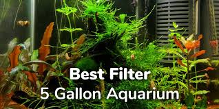 Remember that this filter is going to be in contact with water and secure it to your aquarium's wall accordingly. 5 Best Filters For Small 5 Gallon Fish Tanks 2021