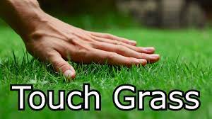 Go touch grass meme
