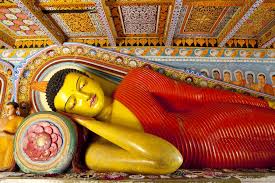 Top brands including toyota, nissan, honda and suzuki maruti. 70 Things To See And Do In Sri Lanka What To Do In Sri Lanka