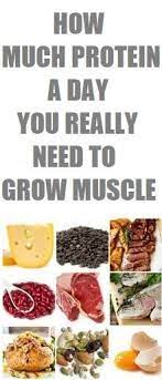 How Much Protein To Build Muscle Food To Gain Muscle Nutrition Healthy Eating Protein To Build Muscle
