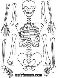 Spending time with coloring pages allows kids to learn a lot about drawing as well as … Human Skeleton Coloring Pages Learny Kids