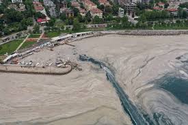 Sea life near turkey is being threatened by a layer of slimy brown foam on the ocean's surface. Ddtjmv2spvlvvm