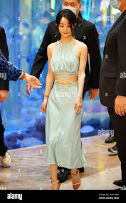 Image result for zhao liying