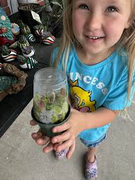 Anyone know what kind of moss this is? Also can we collect it and keep it  in a terrarium ? My daughter was so excited 😆 we homeschool and we're  Learning about