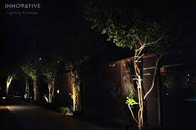Innovative Lighting Electric Landscape Lighting Arizona Landscape Lighting Outdoor Landscaping Landscape